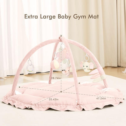 5-in-1 Plush Play Gym
