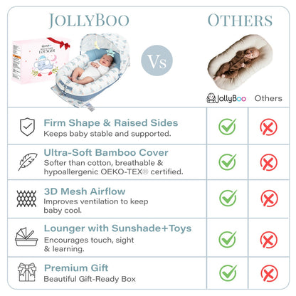 Deluxe Infant Lounger